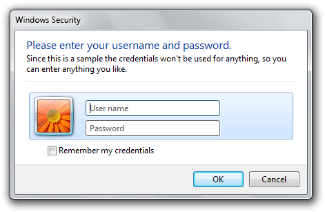 A credential dialog as it appears on Windows Vista and later